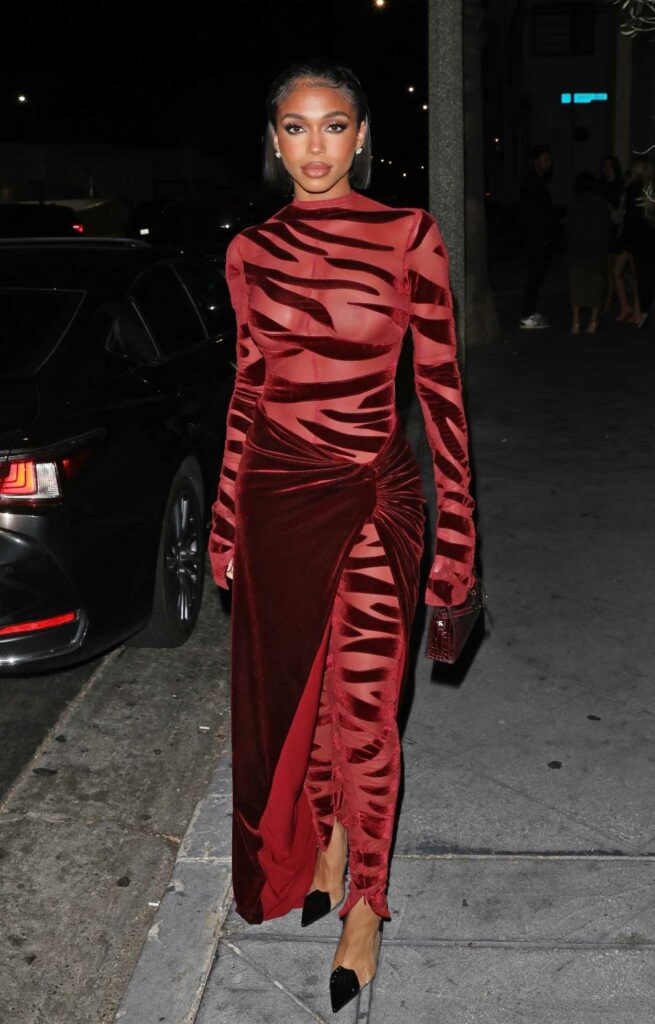 Lori Harvey in a Red Velvet Dress