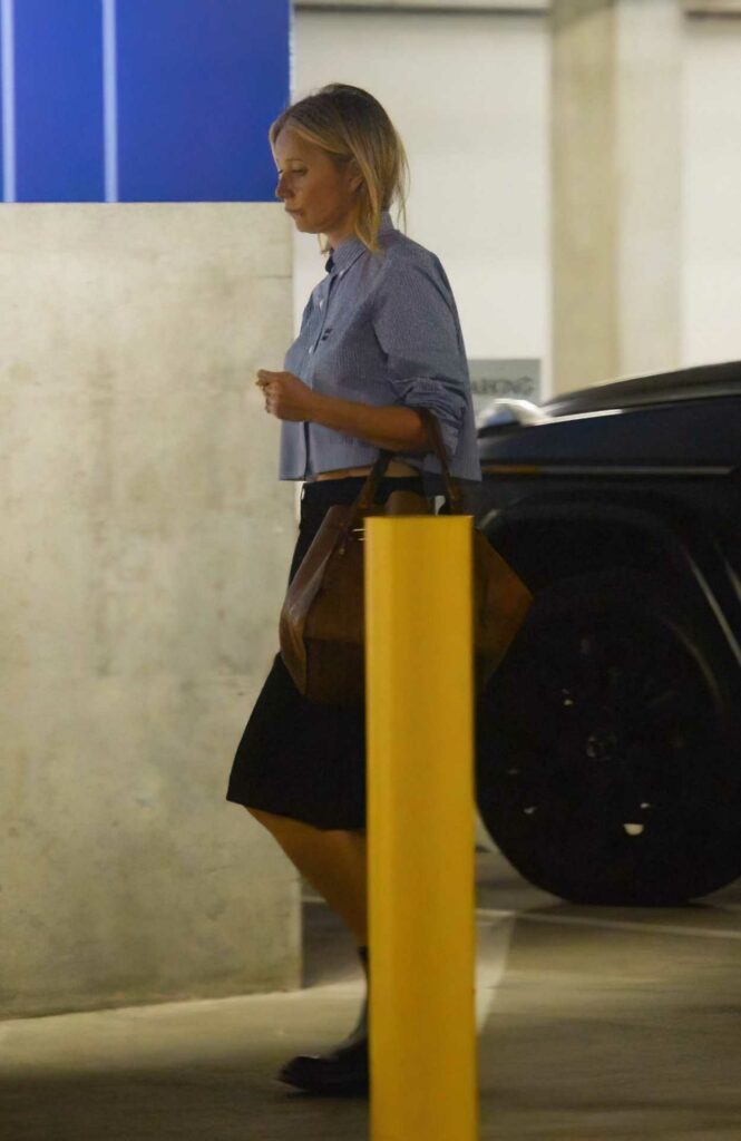 Gwyneth Paltrow in a Black Skirt