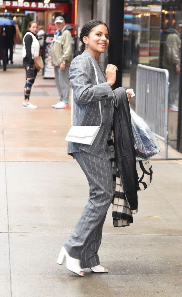 Zazie Beetz in a Grey Striped Pantsuit