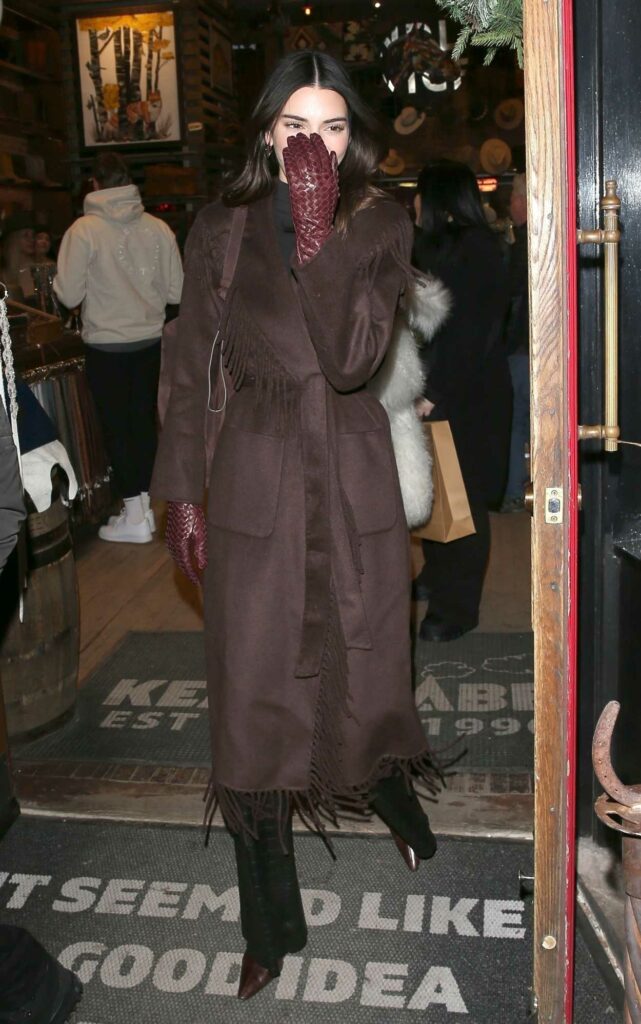 Kendall Jenner in a Brown Coat