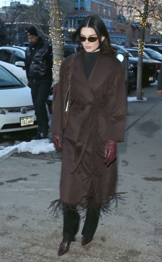 Kendall Jenner in a Brown Coat