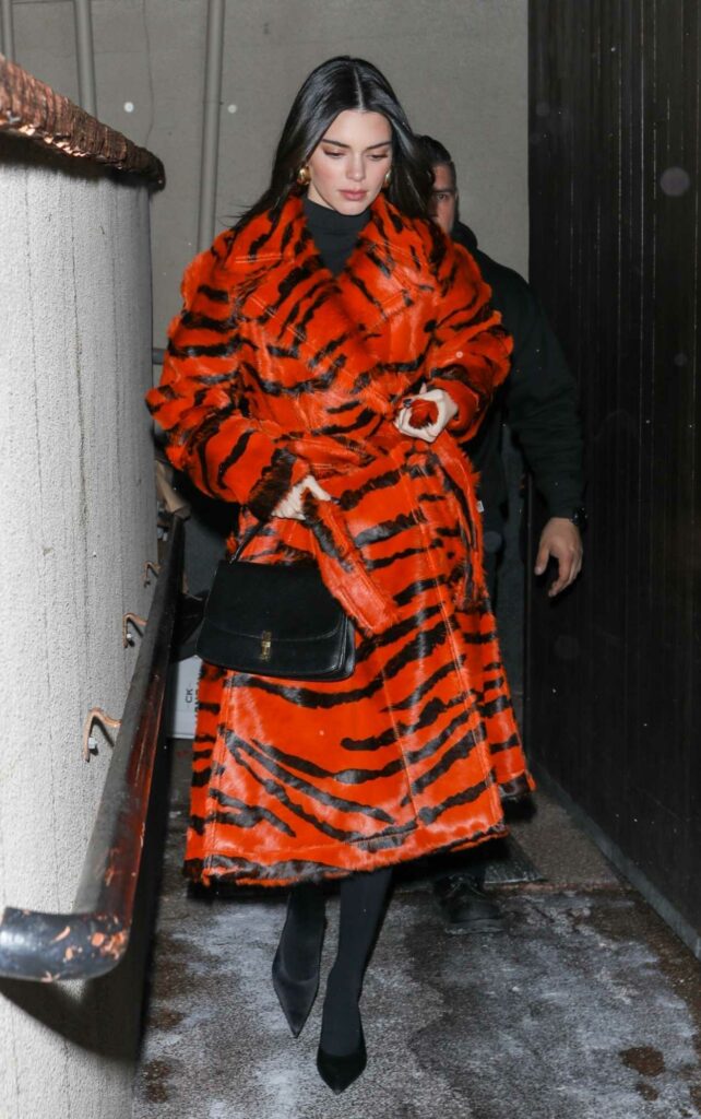 Kendall Jenner in an Animal Print Fur Coat