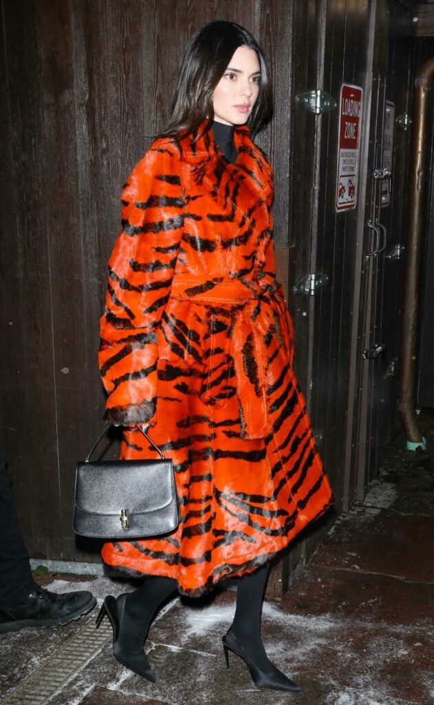 Kendall Jenner in an Animal Print Fur Coat