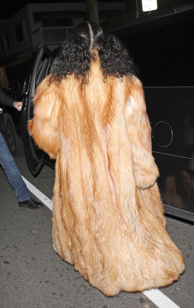 Rihanna in a Tan Fur Coat