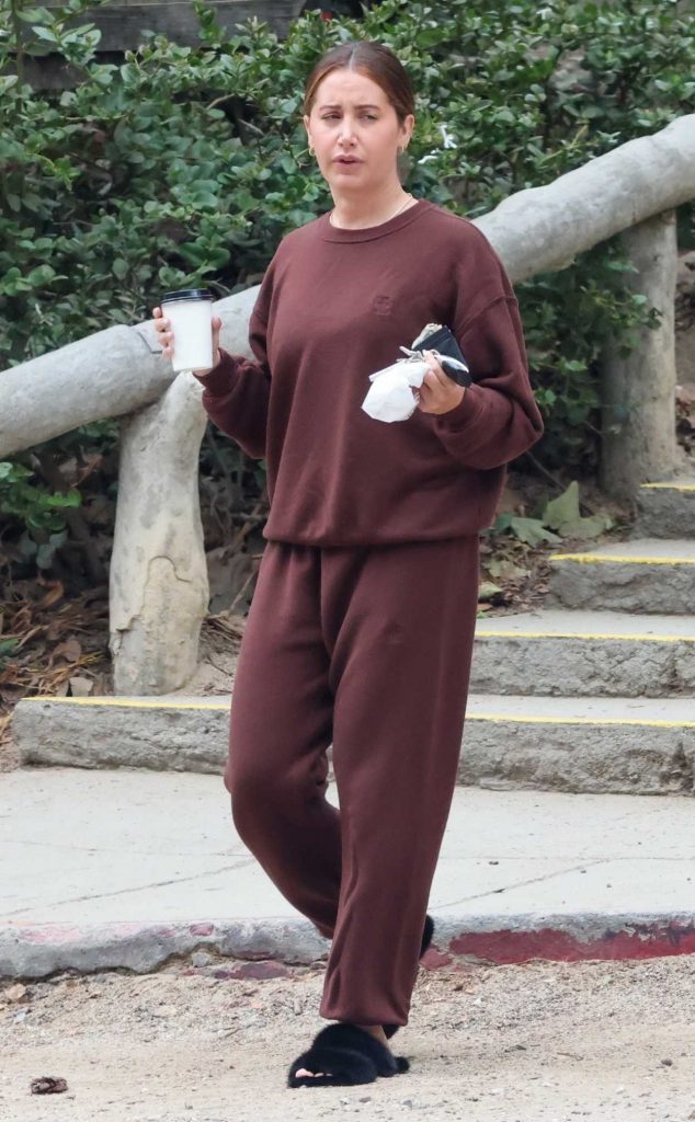 Ashley Tisdale in a Brown Sweatsuit