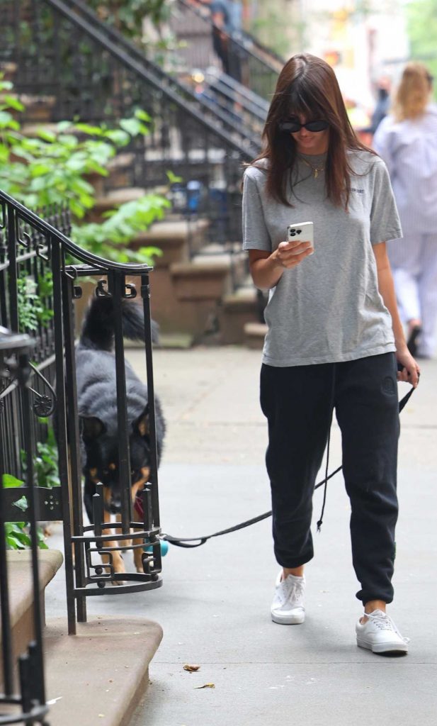 Emily Ratajkowski in a Grey Tee