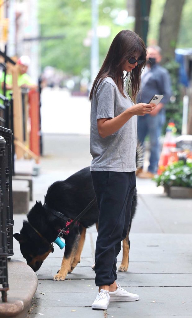 Emily Ratajkowski in a Grey Tee