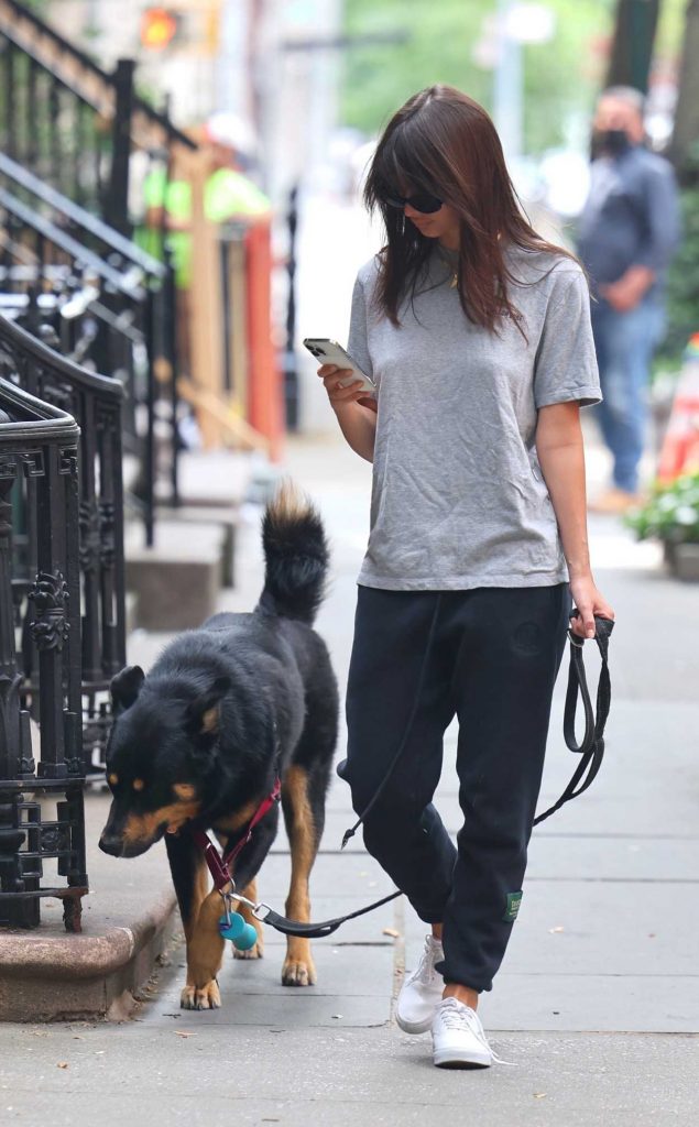 Emily Ratajkowski in a Grey Tee