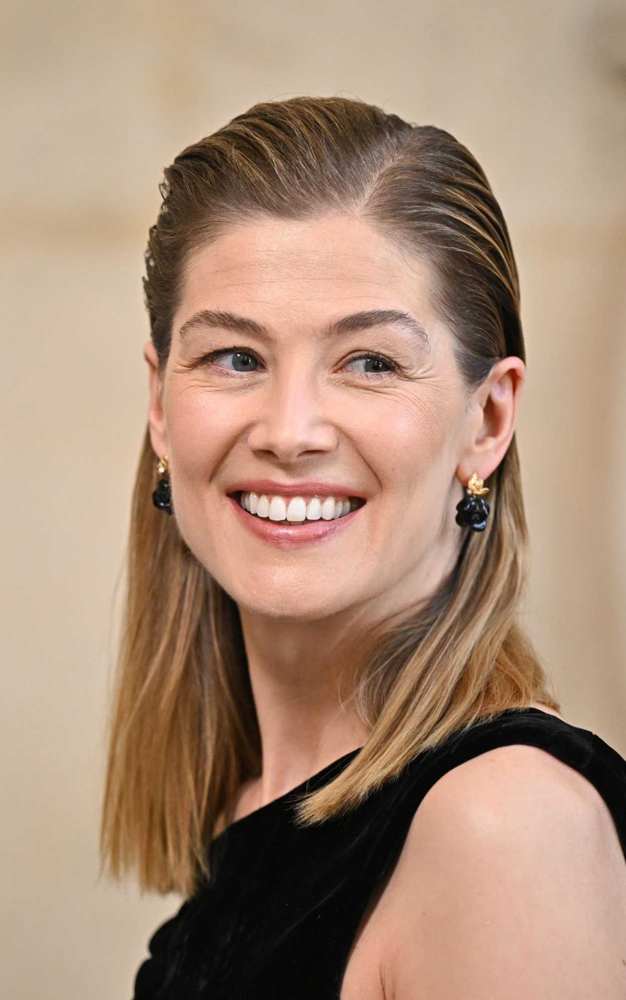 Rosamund Pike Attends the Christian Dior Fashion Show During 2023 Paris ...