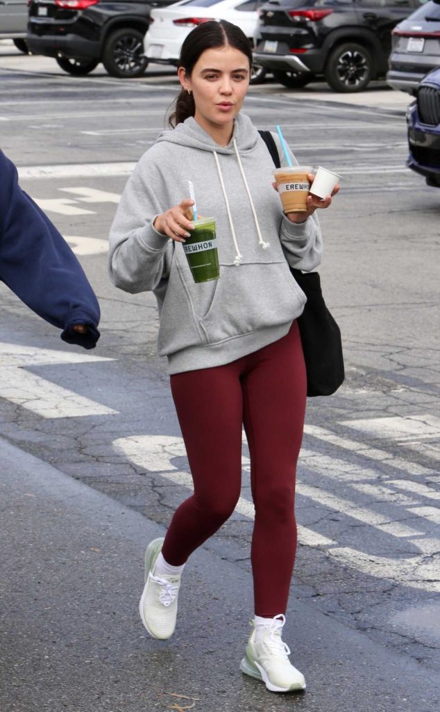 Lucy Hale in a Grey Hoodie