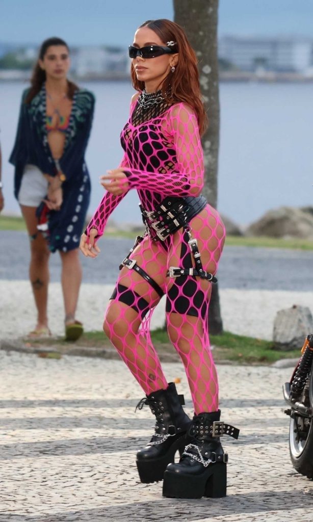 Anitta in a Pink Fishnet Bodysuit