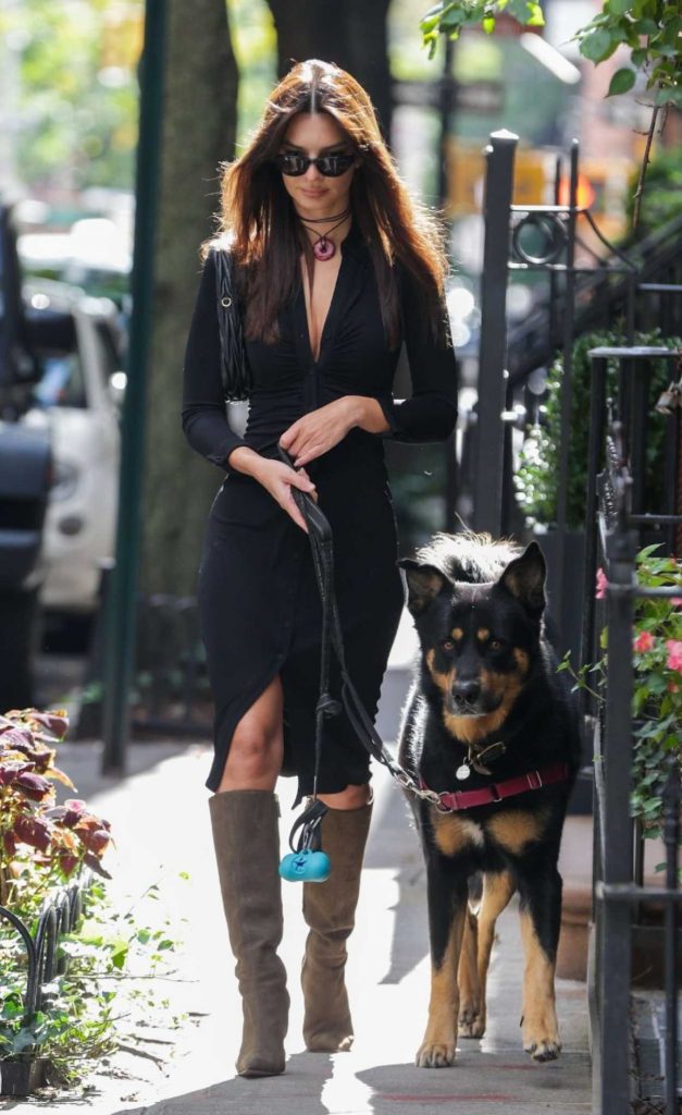 Emily Ratajkowski in a Black Dress