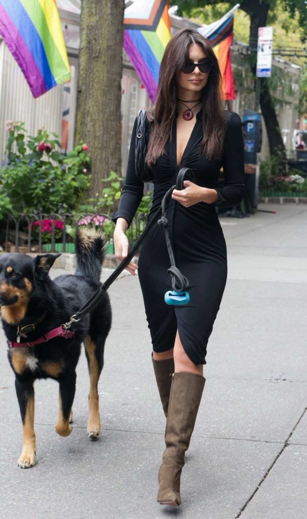 Emily Ratajkowski in a Black Dress