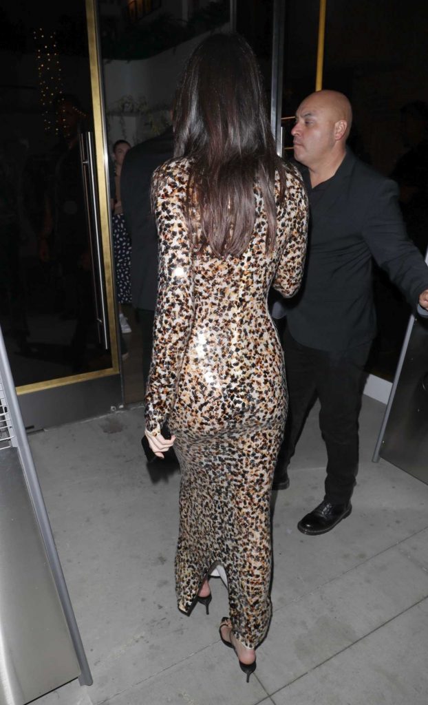 Kendall Jenner in an Animal Print Dress