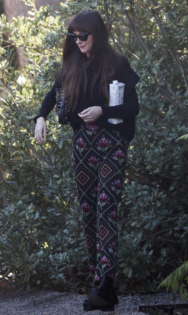 Dakota Johnson in a Black Embroidered Pants