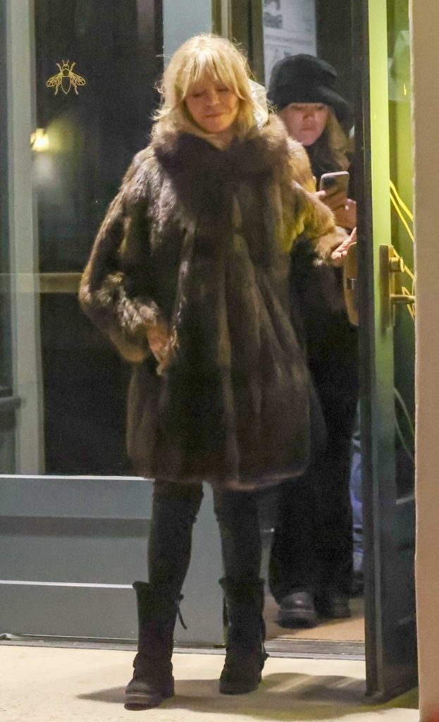 Goldie Hawn in a Fur Coat