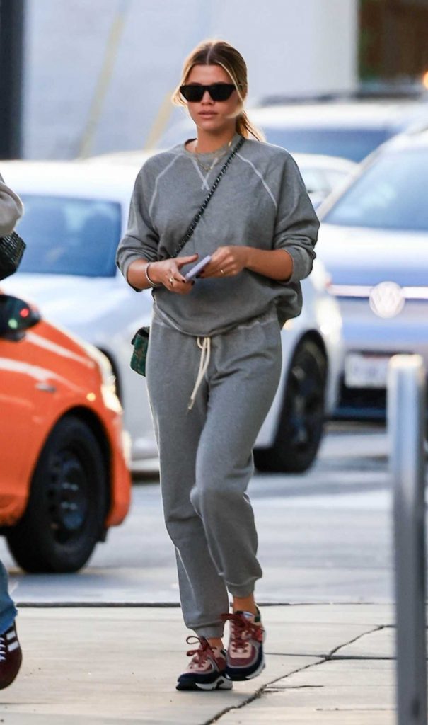 Sofia Richie in a Grey Sweatsuit