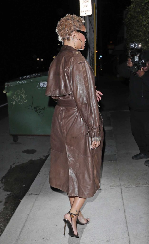 Rihanna in a Brown Leather Coat