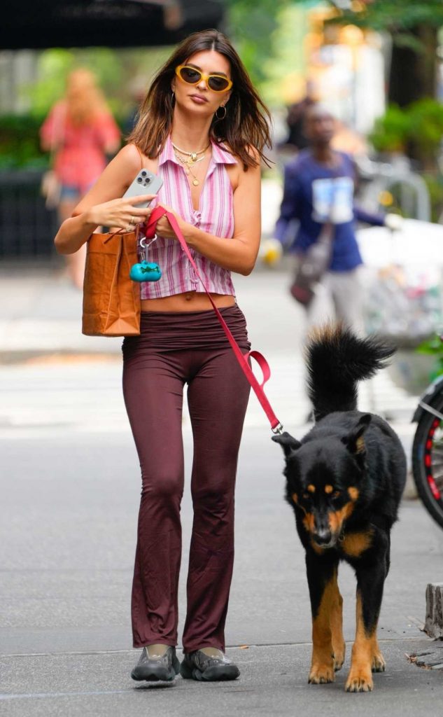 Emily Ratajkowski in a Pink Striped Blouse