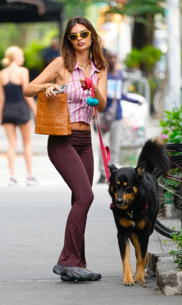 Emily Ratajkowski in a Pink Striped Blouse