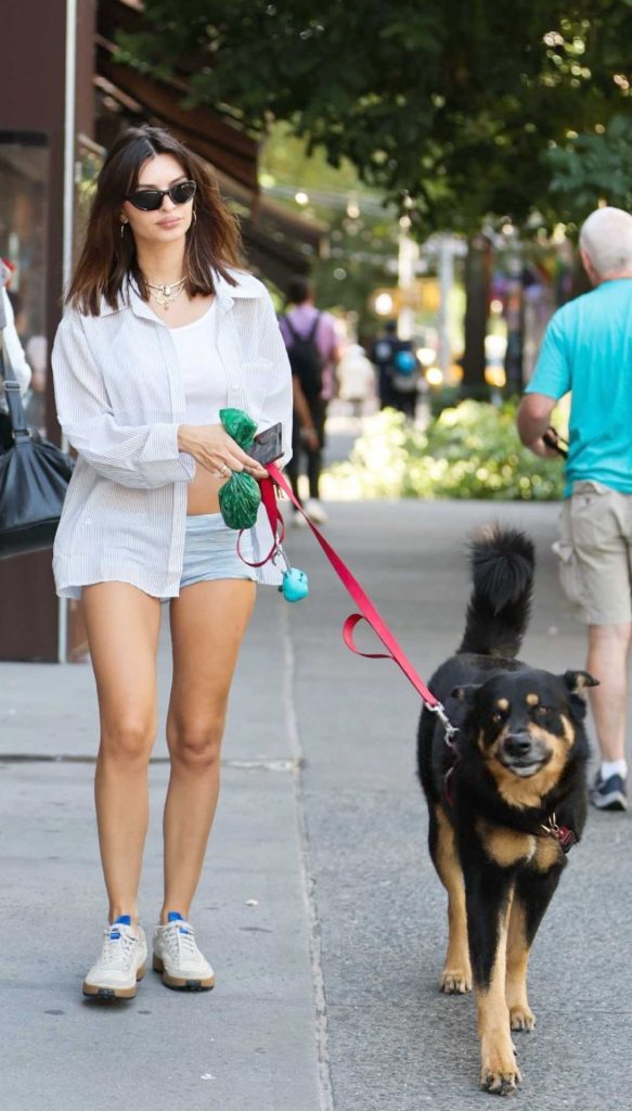 Emily Ratajkowski in a White Top