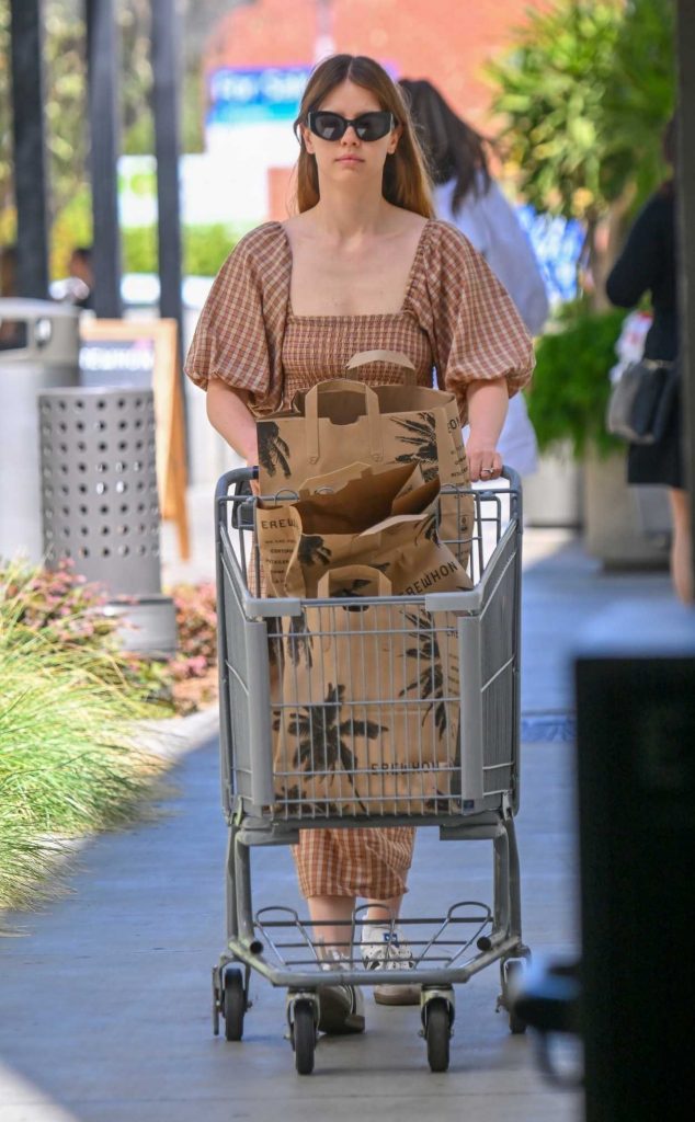 Mia Goth in a Tan Plaid Dress