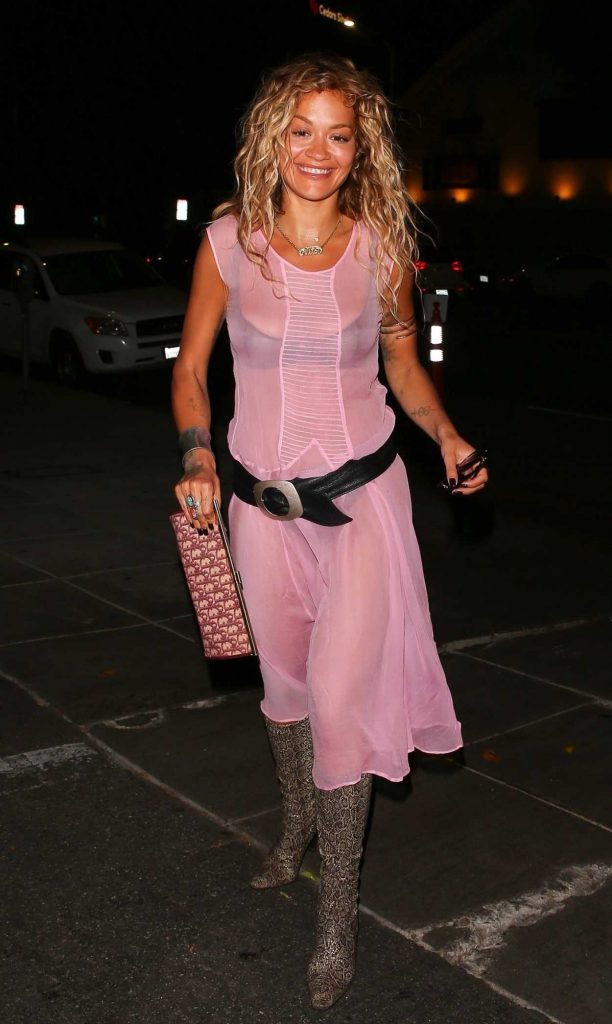 Rita Ora in a Pink See-Through Dress