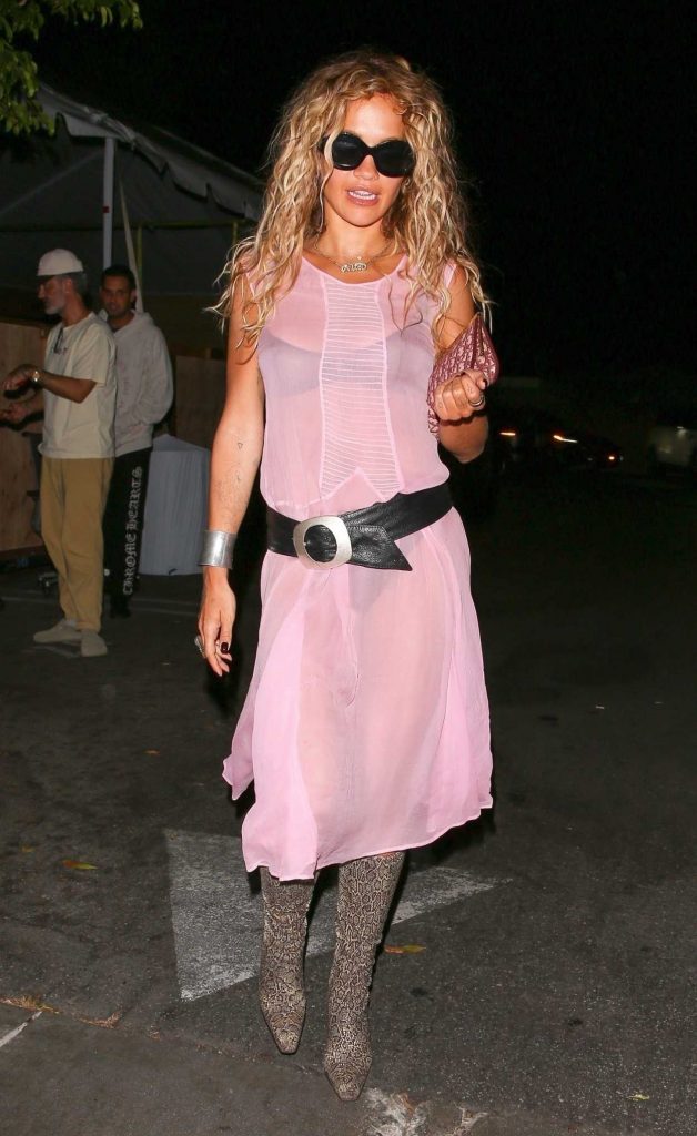 Rita Ora in a Pink See-Through Dress