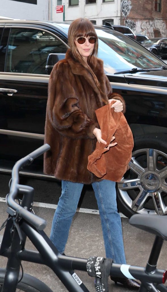 Dakota Johnson in a Brown Fur Coat