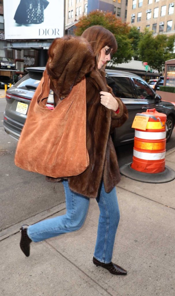 Dakota Johnson in a Brown Fur Coat