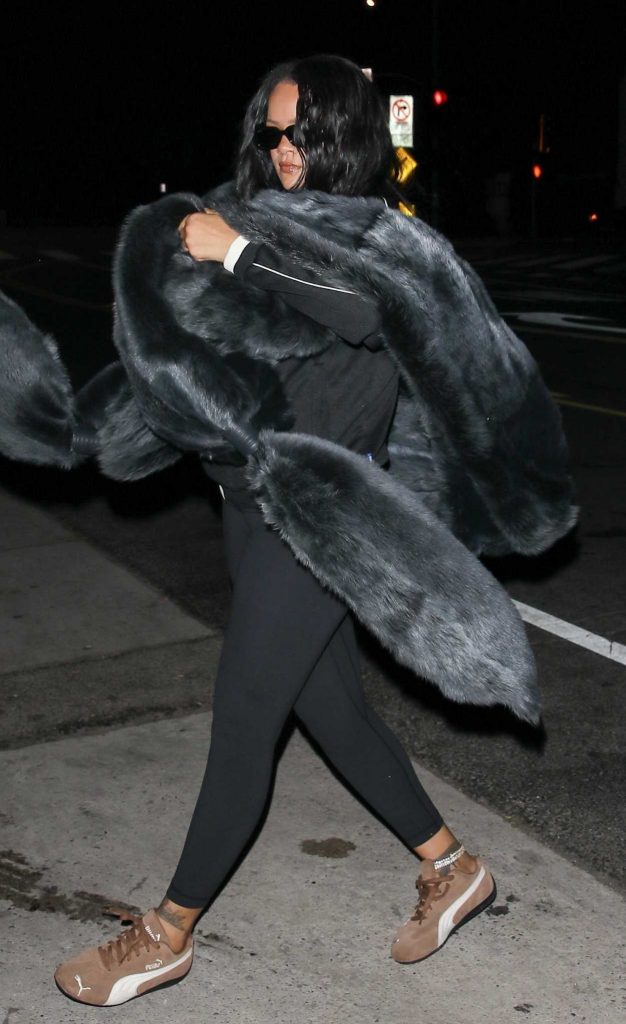 Rihanna in a Black Fur Coat