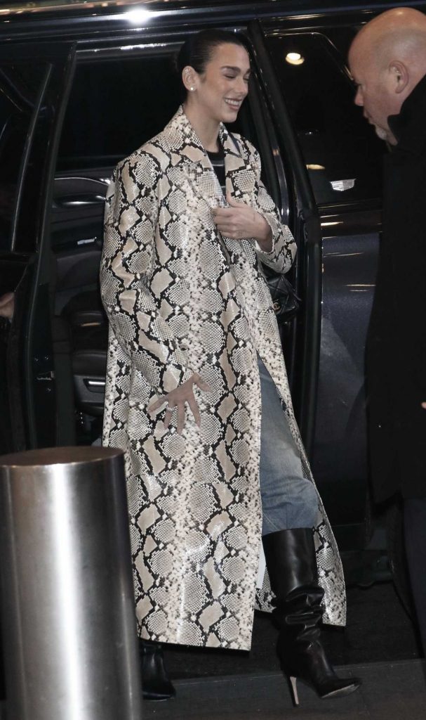 Dua Lipa in a Snakeskin Print Coat