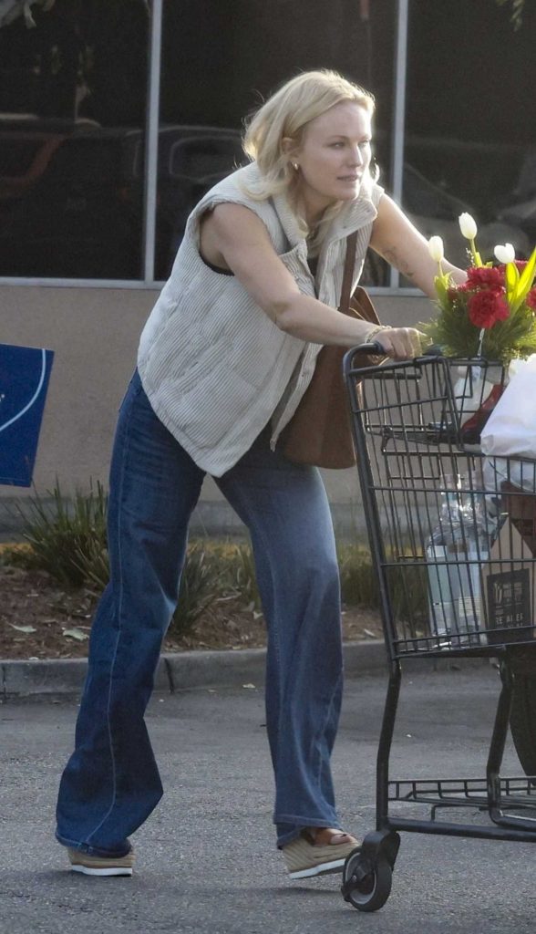 Malin Akerman in a Blue Jeans