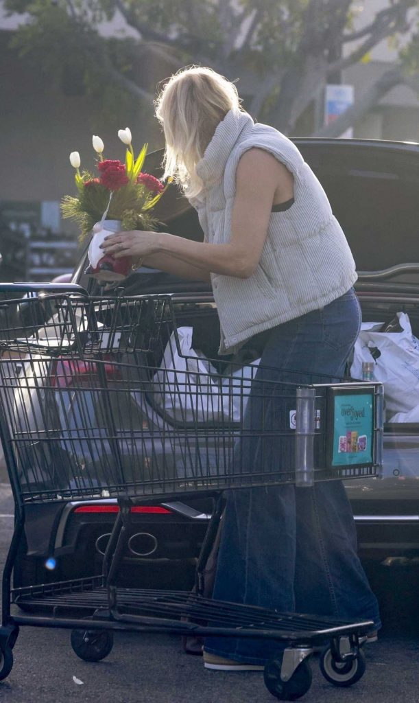 Malin Akerman in a Blue Jeans