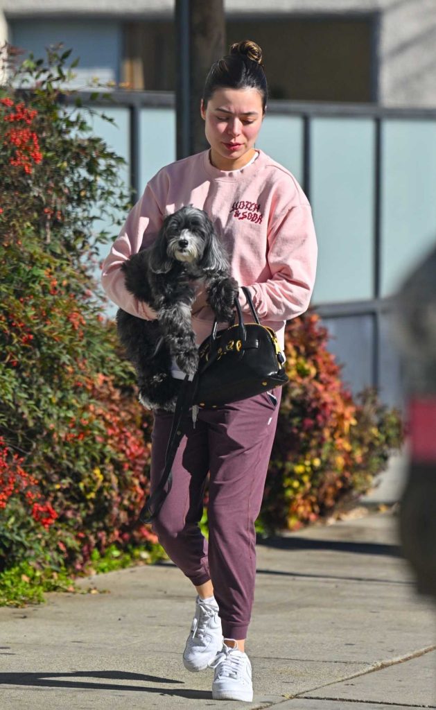 Miranda Cosgrove in a Pink Sweatshirt