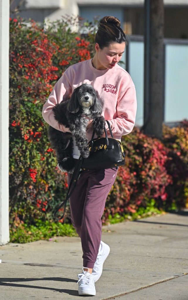 Miranda Cosgrove in a Pink Sweatshirt