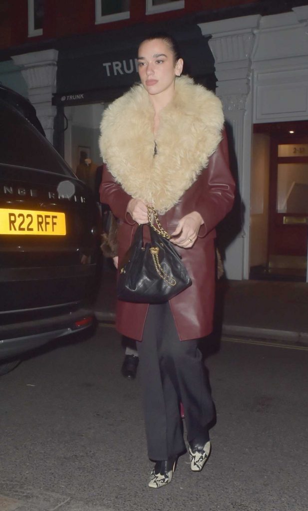 Dua Lipa in a Burgundy Leather Coat