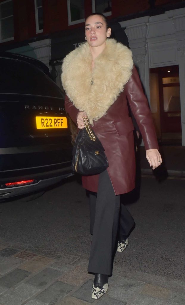 Dua Lipa in a Burgundy Leather Coat