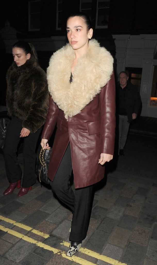 Dua Lipa in a Burgundy Leather Coat