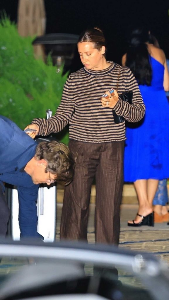 Ashley Tisdale in a Brown Pinstriped Pants