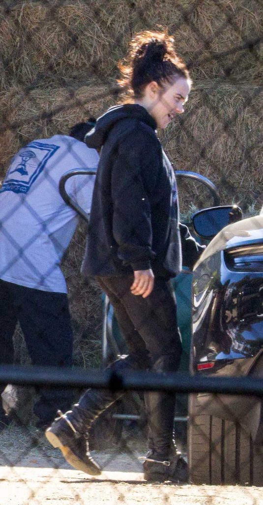 Billie Eilish in a Black Hoodie