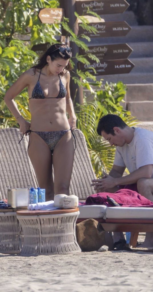 Dua Lipa in a Grey Bikini