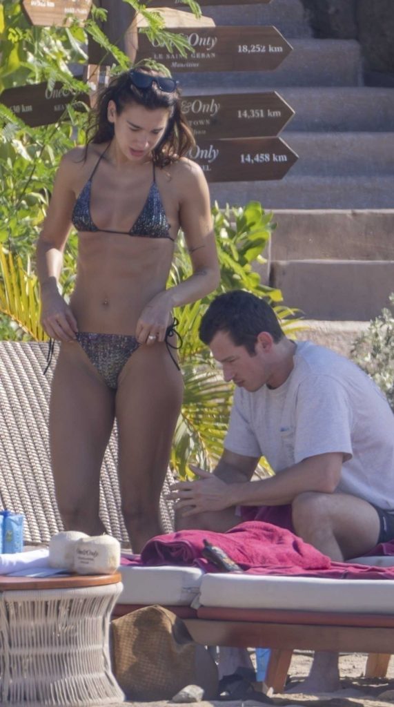 Dua Lipa in a Grey Bikini