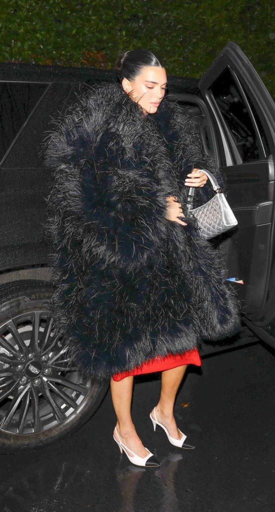 Kendall Jenner in a Red Dress