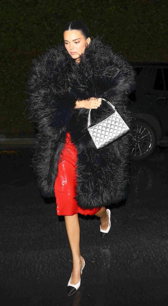 Kendall Jenner in a Red Dress