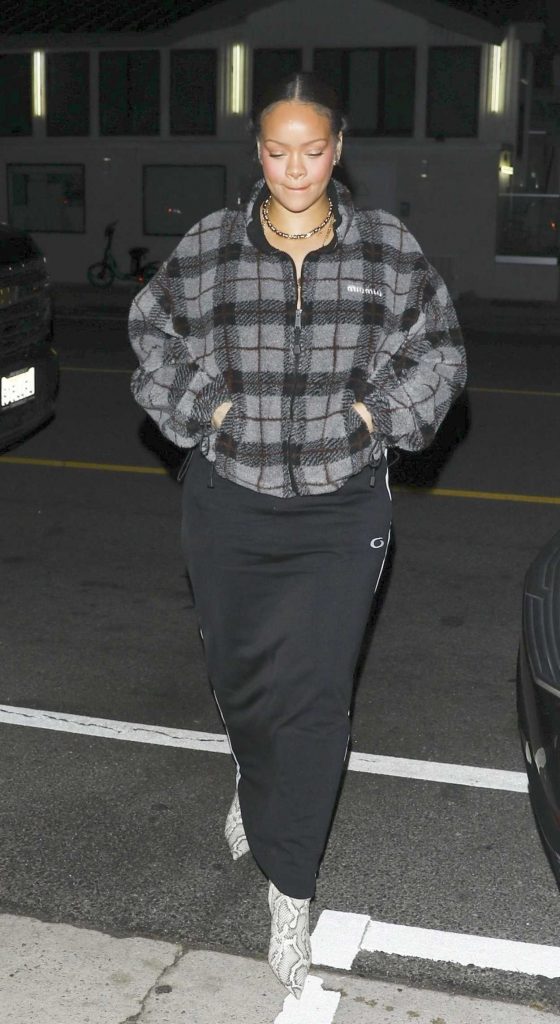 Rihanna in a Grey Plaid Jacket