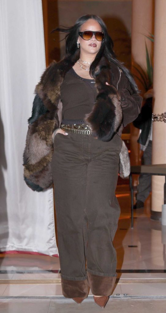 Rihanna in a Brown Ensemble