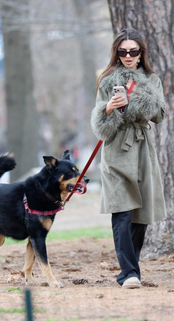 Emily Ratajkowski in a Grey Coat