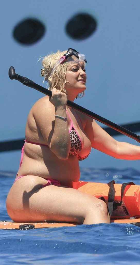 Bebe Rexha in an Animal Print Bikini