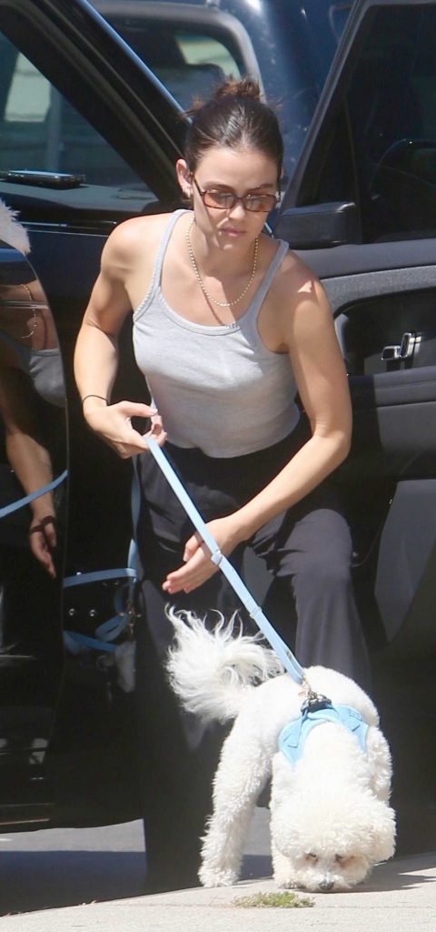 Lucy Hale in a Grey Top